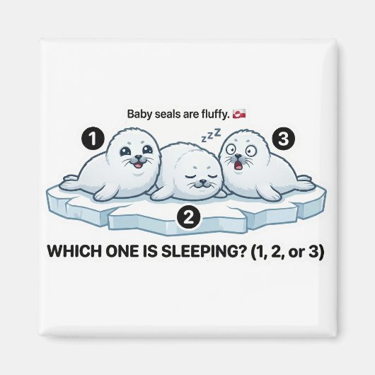 Which One Is Sleeping? – Baby Seal Learning Magnet (Vorne)