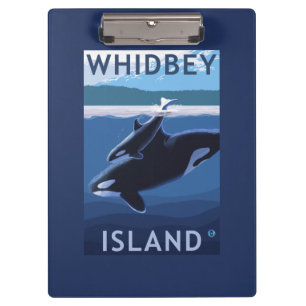 Whidbey Insel, WashingtonOrca und Kalb Klemmbrett