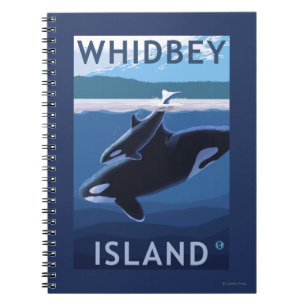 Whidbey Insel, WashingtonOrca und Kalb Notizblock