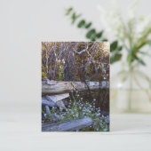 Whidbey Island 1 Postkarte (Stehend Vorderseite)