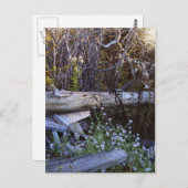 Whidbey Island 1 Postkarte (Vorne/Hinten)