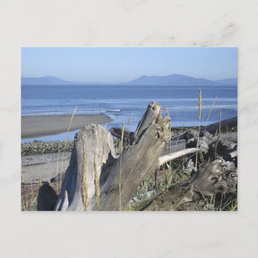 Whidbey Island 4 Postkarte (Vorderseite)