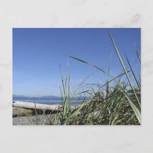 Whidbey Island 5 Postkarte (Vorderseite)