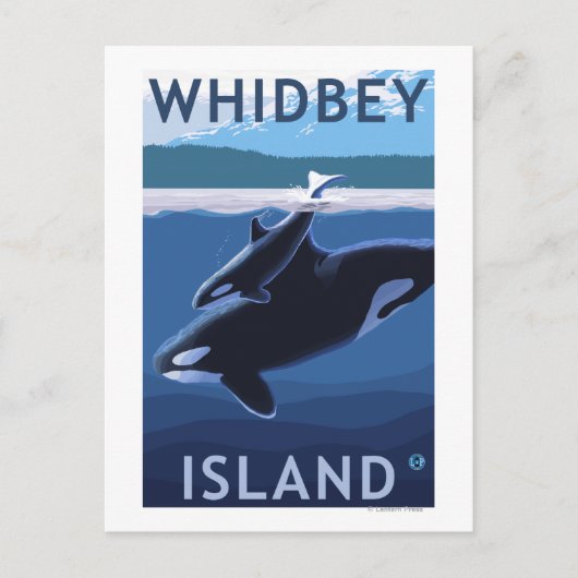 Whidbey Island, Washington Orca und Calf Postkarte (Vorderseite)