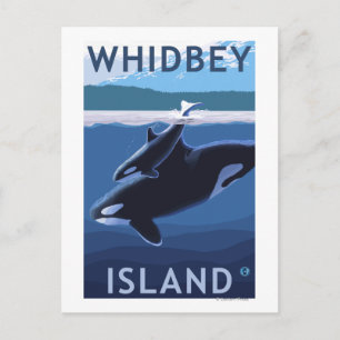 Whidbey Island, Washington Orca und Calf Postkarte