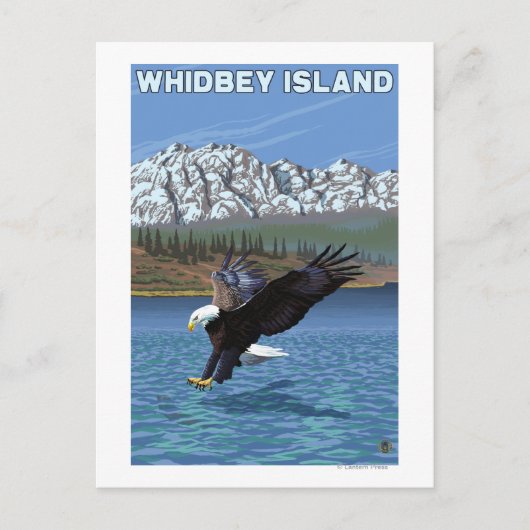 Whidbey Island, WashingtonEagle Fishing Postkarte (Vorderseite)