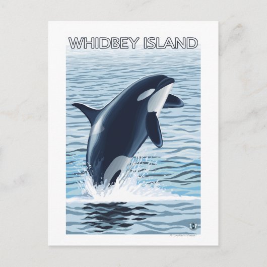 Whidbey Island, WashingtonOrca Jumping Postkarte (Vorderseite)