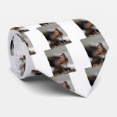 Whimbrel Krawatte (Gerollt)