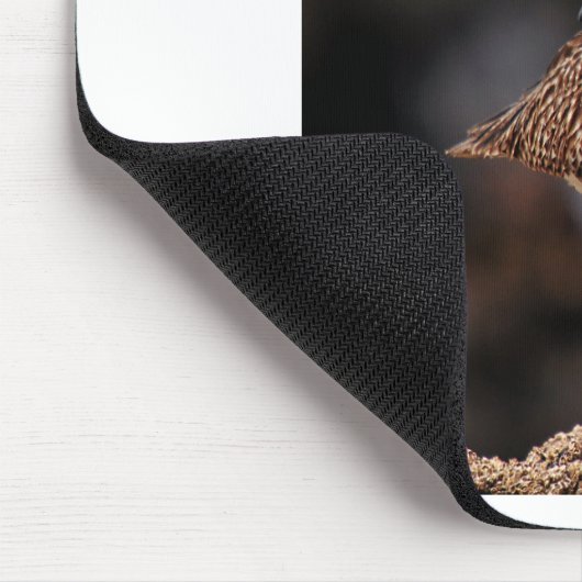 Whimbrel Mousepad (Ecke)