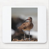 Whimbrel Mousepad (Vorne)