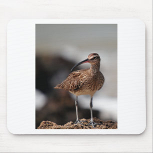 Whimbrel Mousepad