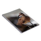 Whimbrel Notizblock (Rechte Seite)