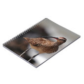 Whimbrel Notizblock (Linke Seite)