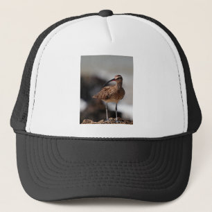 Whimbrel Truckerkappe
