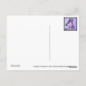 Whimsical Aotearoa Postkarte (Rückseite)