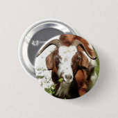 Whimsical Artistic Portrait of a Goat Grazing Button (Vorne & Hinten)