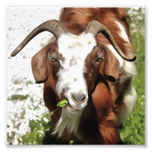 Whimsical Artistic Portrait of a Goat Grazing Fotodruck