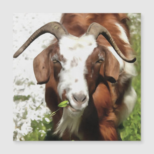Whimsical Artistic Portrait of a Goat Grazing Magnetkarte