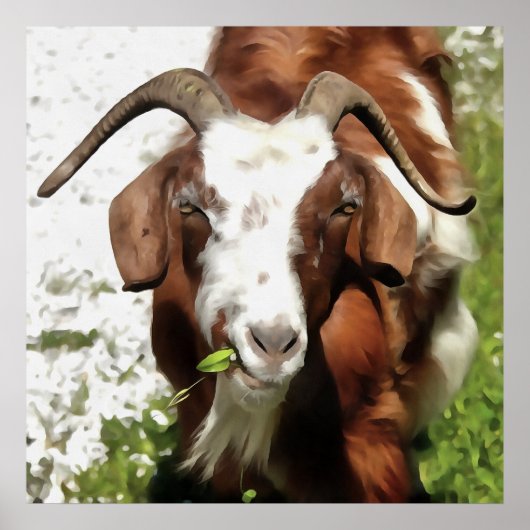 Whimsical Artistic Portrait of a Goat Grazing Poster (Vorne)
