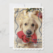 Whimsical Blue Ribbon Pet Foto Frohe Weihnachten (Vorderseite)