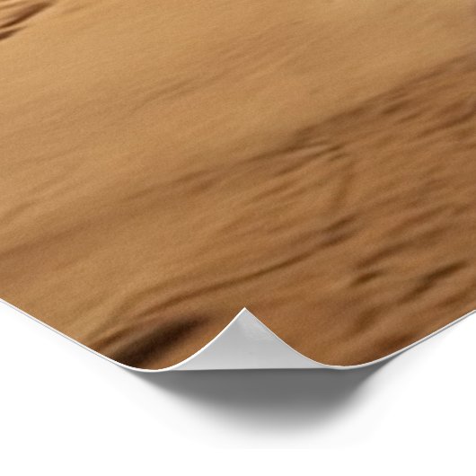 Whimsical Bulldog Chopper fahren mit einem Motorra Poster (Ecke)