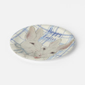 Whimsical Bunny Rabbits Blaues Kariertes Ostern Pappteller (Schrägansicht)