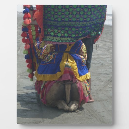 Whimsical Camel Art Print/Graphic Fotoplatte (Vorderseite)