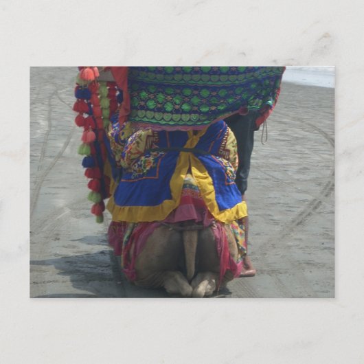 Whimsical Camel Art Print/Graphic Postkarte (Vorderseite)