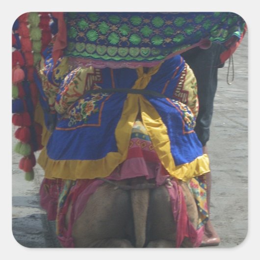 Whimsical Camel Art Print/Graphic Quadratischer Aufkleber (Vorderseite)