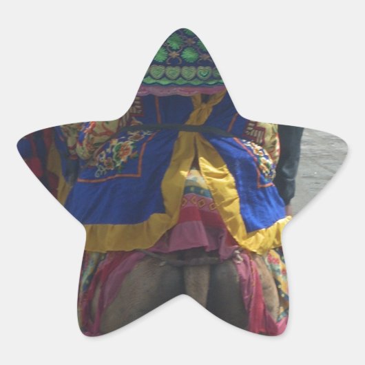 Whimsical Camel Art Print/Graphic Stern-Aufkleber (Vorderseite)