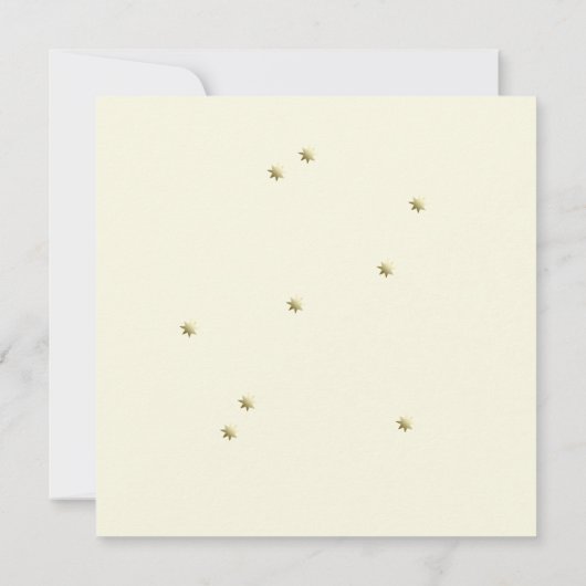 Whimsical Elegant Beluga Whale Baby Dusche Einladung (Rückseite)