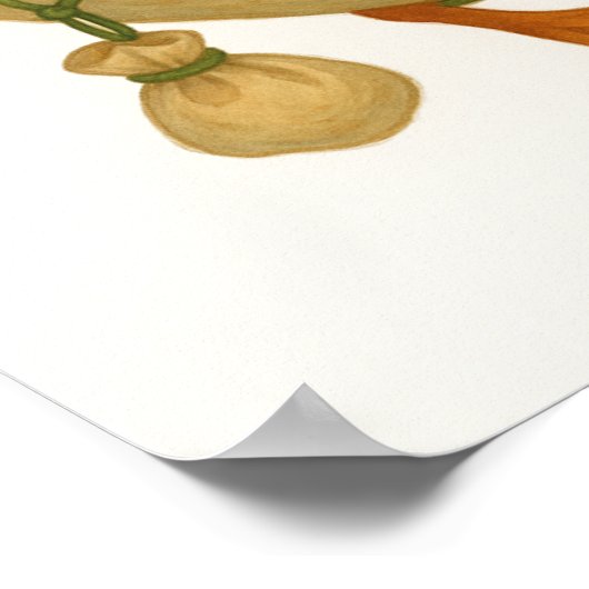 Whimsical Frog Riding a Duck Poster (Ecke)