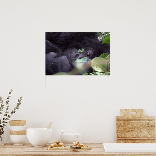 Whimsical Gorilla Poster (Küche)