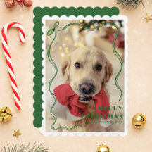 Whimsical Green Ribbon Pet Foto Frohe Weihnachten