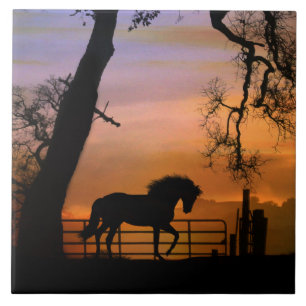 Whimsical Horse Art Tile, Hübscher Südwesten Fliese