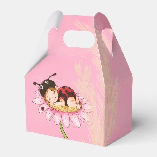 Whimsical Little Ladybug Babydusche Geschenkschachtel (Vorderseite)