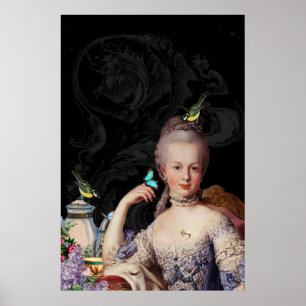 Whimsical Marie Antoinette Geheimhalter Poster