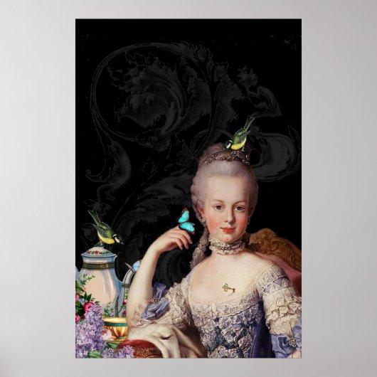 Whimsical Marie Antoinette Geheimhalter Poster (Vorne)