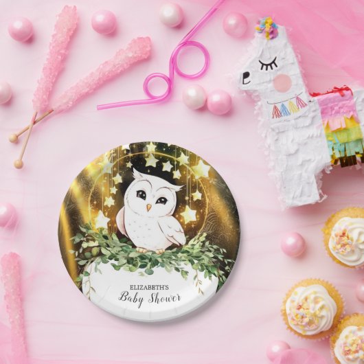 Whimsical Niedlich Owl Baby Dusche Pappteller (Party)