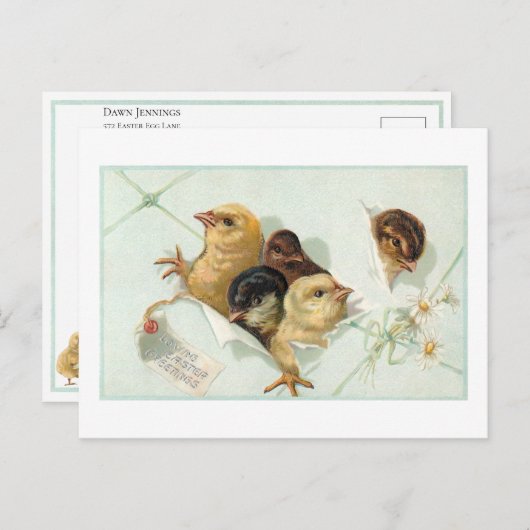 Whimsical Osterchicks mit Daisis und Gruß Postkarte (Vorne/Hinten)