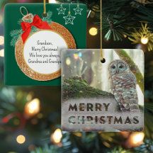 Whimsical Owl im Winter Frohe Weihnachten