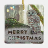 Whimsical Owl im Winter Frohe Weihnachten Keramikornament (Vorderseite)