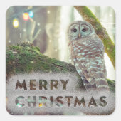 Whimsical Owl im Winter Frohe Weihnachten Quadratischer Aufkleber (Vorderseite)
