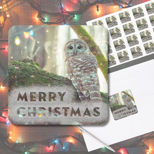 Whimsical Owl im Winter Frohe Weihnachten Quadratischer Aufkleber