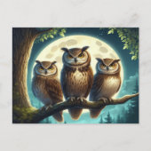 Whimsical Owl Trio Postkarte (Vorderseite)