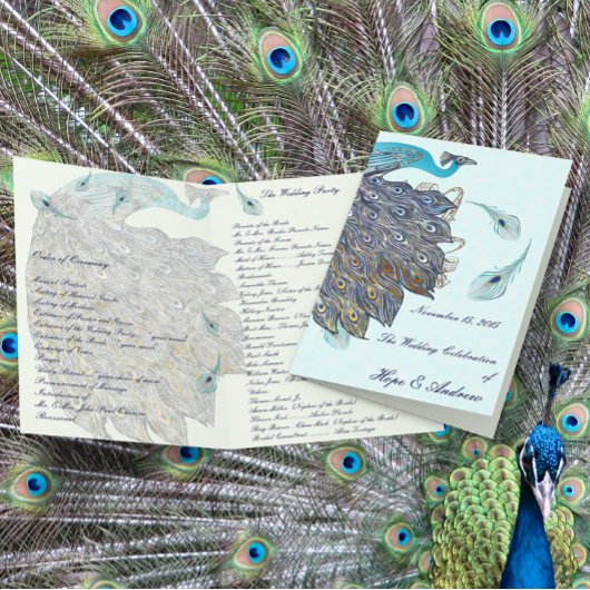Whimsical Pfauenfeder Hochzeitsprogramm
