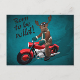 Whimsical Rentier: Geboren, wild zu sein! Postkarte