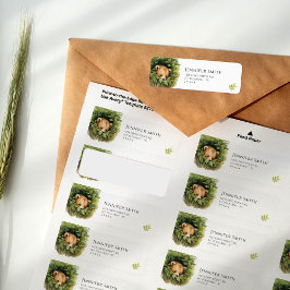 Whimsical Sleepy Baby Bear Baby Dusche