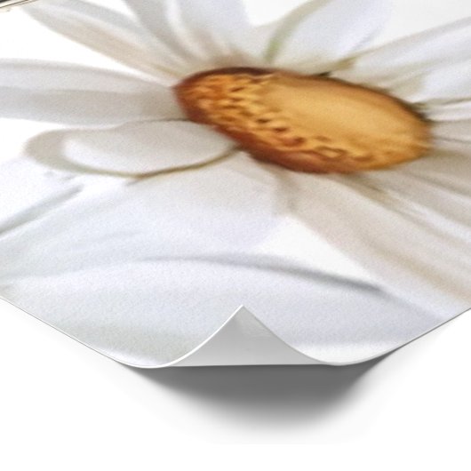 Whimsical Teddy Bear Poster (Ecke)