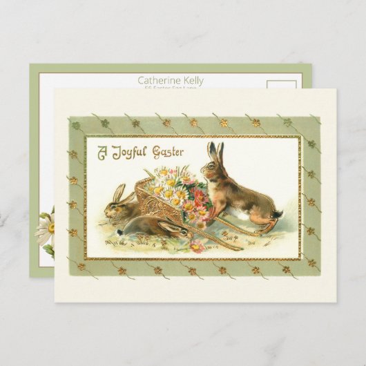 Whimsical Vintag East Bunnies & Daisies Postkarte (Vorne/Hinten)